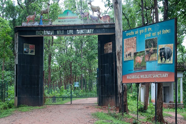 Taxi from Ranchi to Hazaribagh