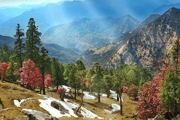 Taxi from Ludhiana to Kausani