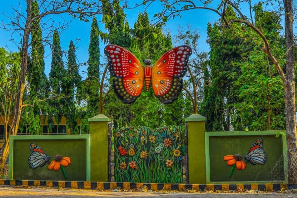 Taxi from Rajkot to Khanvel