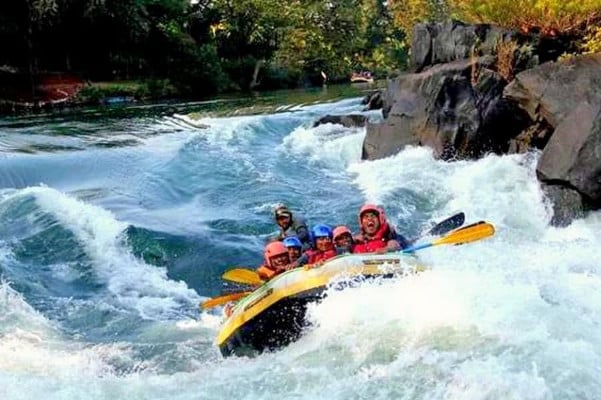 Taxi from Gandhinagar to Kolad