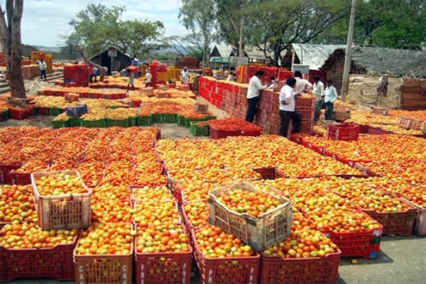 Taxi from Bangalore to Madanapalli