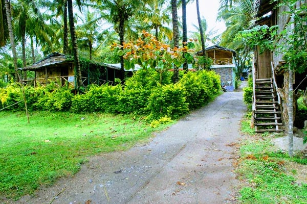 Taxi from Chennai to Masinagudi