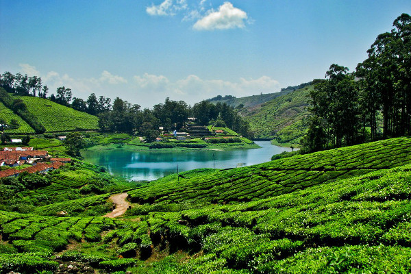 Taxi from Chennai to Meghamalai