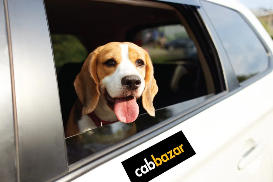 Pet friendly cab service | CabBazar