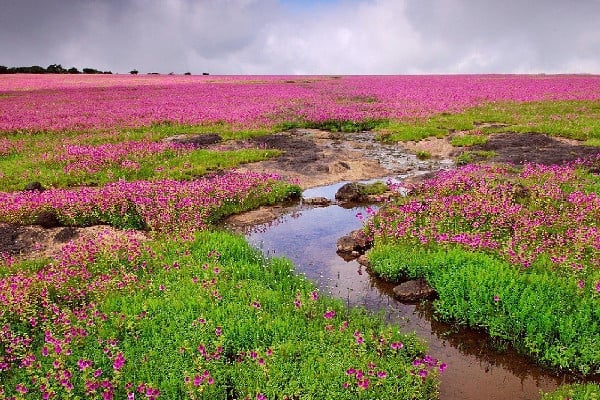 Taxi from Pune to Satara