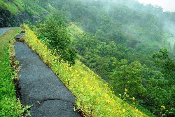 Taxi from Pune to Suryamal