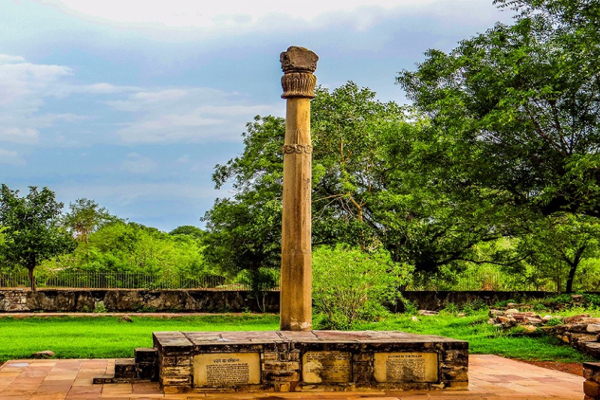 Taxi from Rajkot to Vidisha