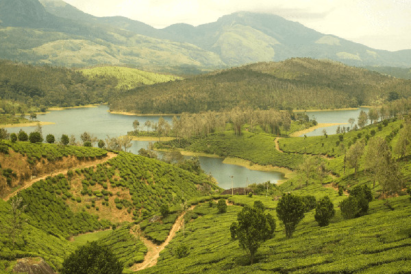 Taxi from Chennai to Yelagiri