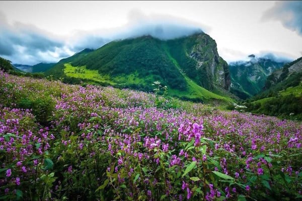 Taxi from Gangtok to Yumthang
