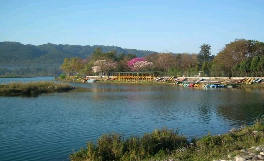 Places to Visit Near Haridwar by Road – Top Weekend Getaways & Road Trips