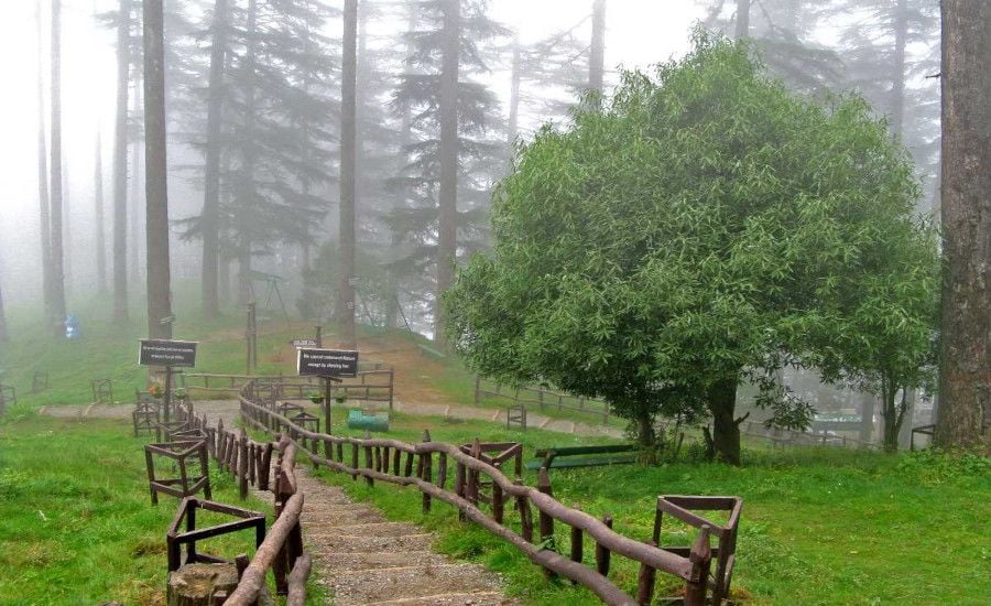 Best Road Trips from Dehradun – Short & Long Drives You’ll Love