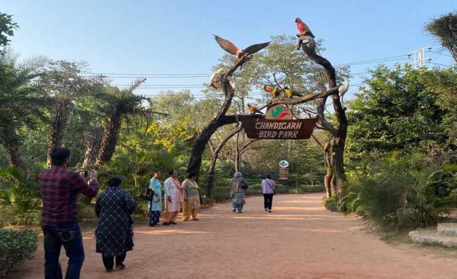 Things to Do in Chandigarh– A Complete Travel Guide