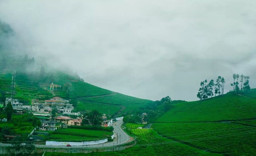 Best Road Trips from Chennai– Short & Long Drives You’ll Love
