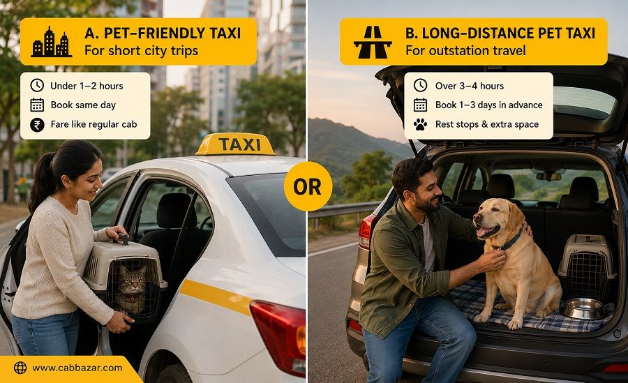 Pet friendly & long distance travel