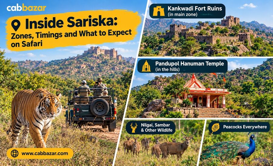 Inside Sariska