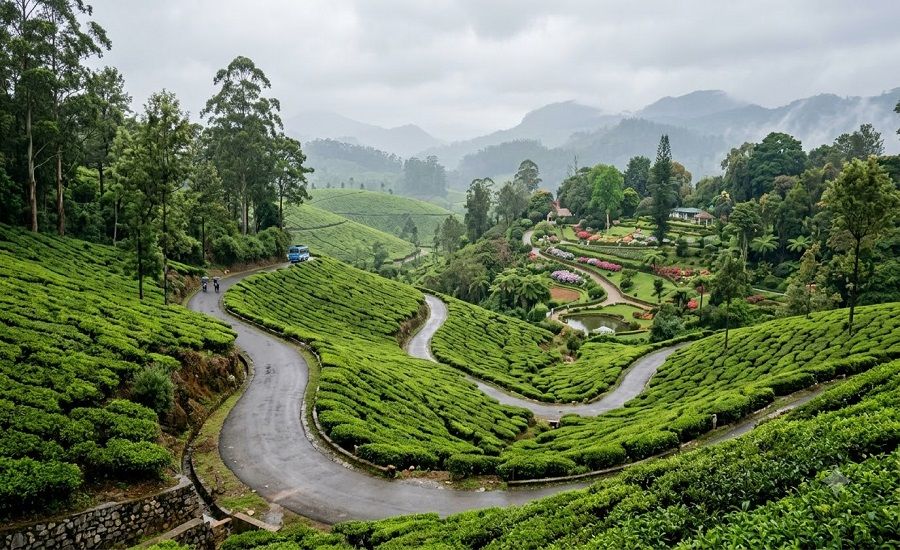 Coonoor