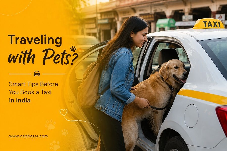 Traveling with Pets? Everything You Should Know Before Booking a Taxi in India