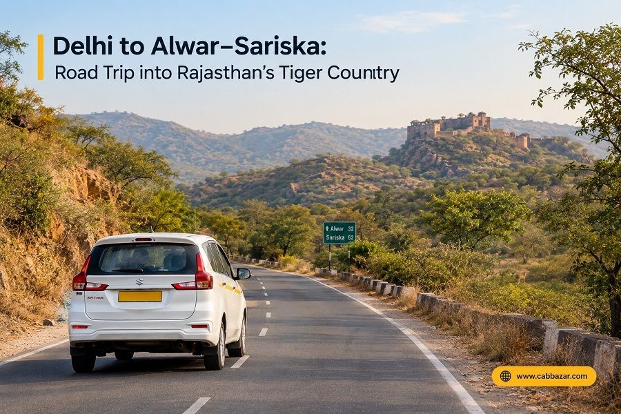 Delhi to Alwar–Sariska: A Traveller's Road Through Rajasthan's Tiger Reserve