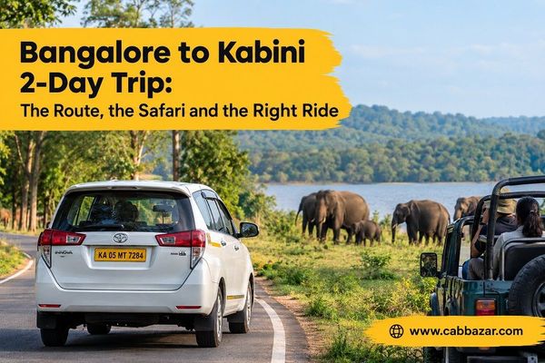 Bangalore to Kabini 2-Day Trip: The Route, the Safari and the Right Ride
